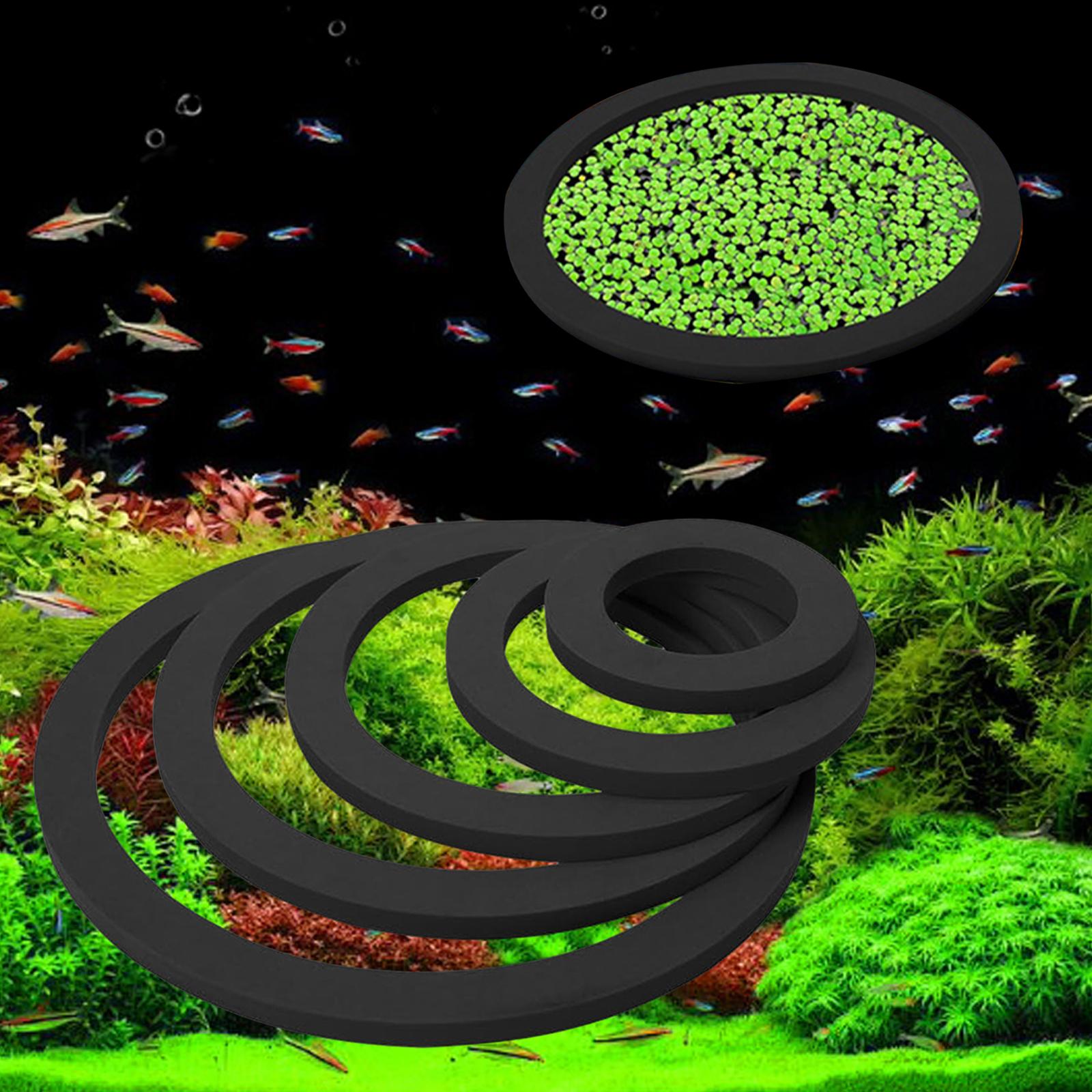 Aquarium Schwimmender Pflanzen – Aquarium Plant Nutrients Bewertung und Preis