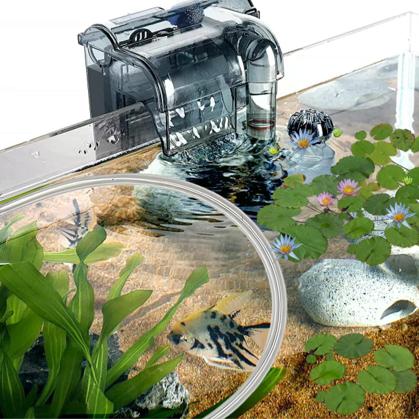 Aquarium-Schwimmpflanzenbarrie – Planted Aquarium Betta Bewertung und Preis